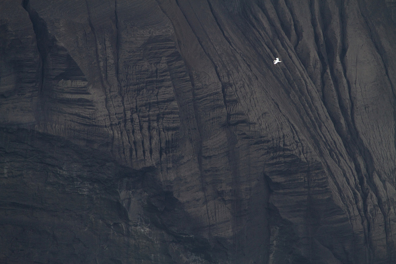 スルツェイ火山島の画像14
