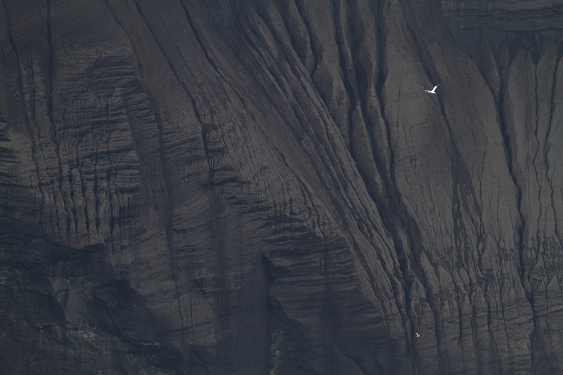 スルツェイ火山島の画像15
