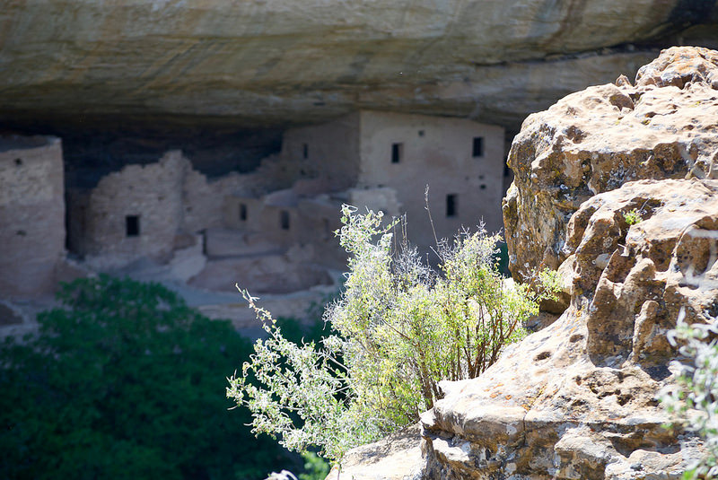 メサ･ヴェルデ国立公園の画像20