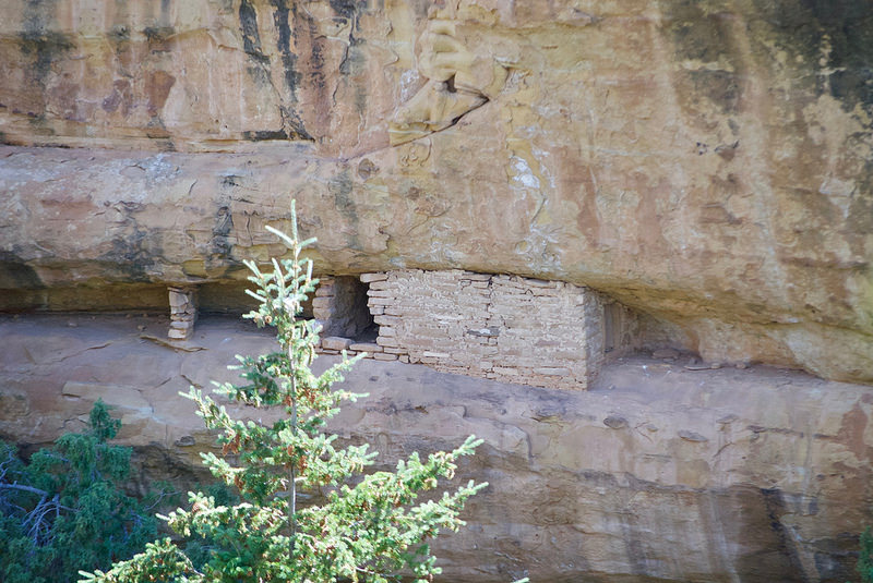 メサ･ヴェルデ国立公園の画像24