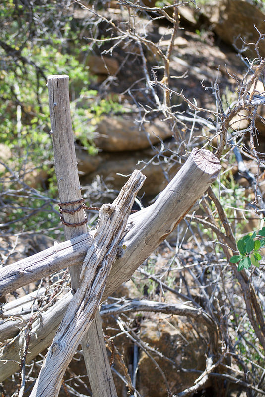 メサ･ヴェルデ国立公園の画像26