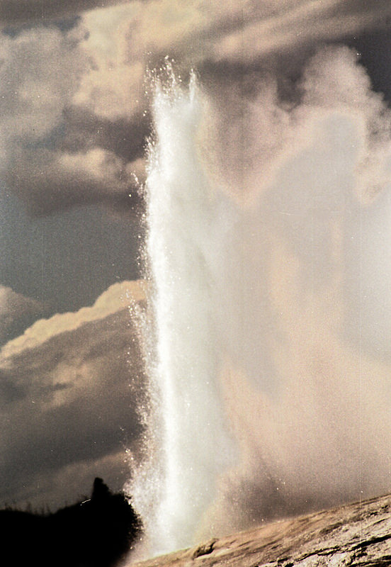 イエローストーン国立公園の画像22