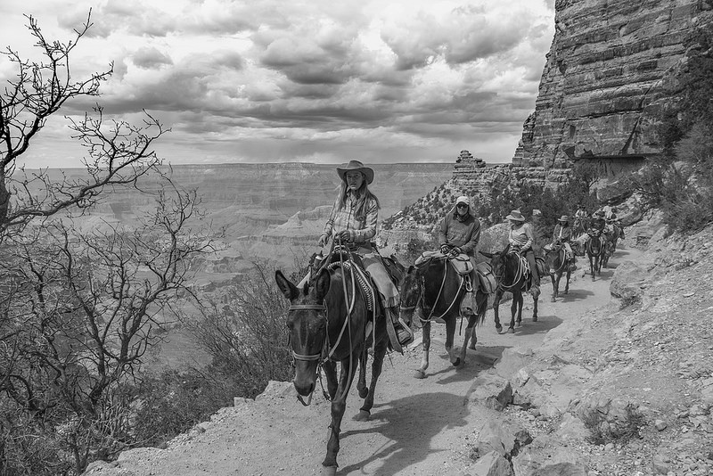 グランド・キャニオン国立公園の画像23