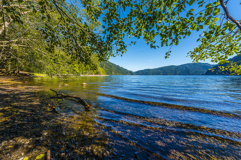 オリンピック国立公園の画像19