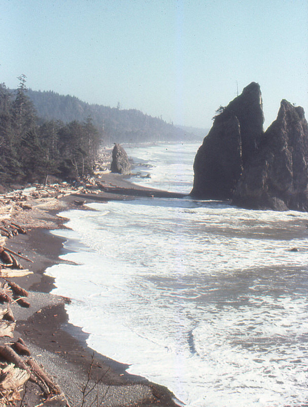 オリンピック国立公園の画像25