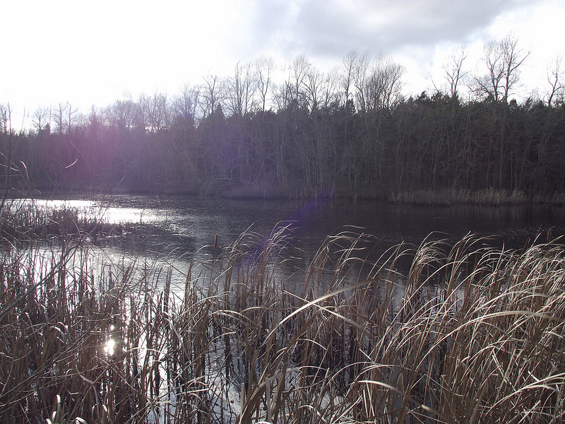 マンモス・ケーヴ国立公園の画像7
