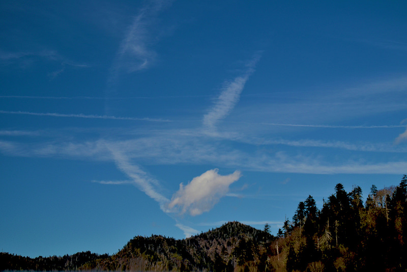 グレート・スモーキー山脈国立公園の画像13