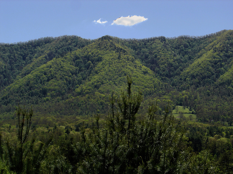 グレート・スモーキー山脈国立公園の画像16