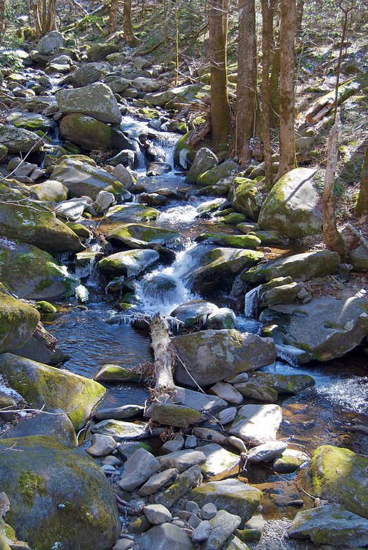 グレート・スモーキー山脈国立公園の画像17