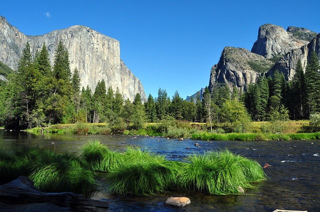 ヨセミテ国立公園の画像13
