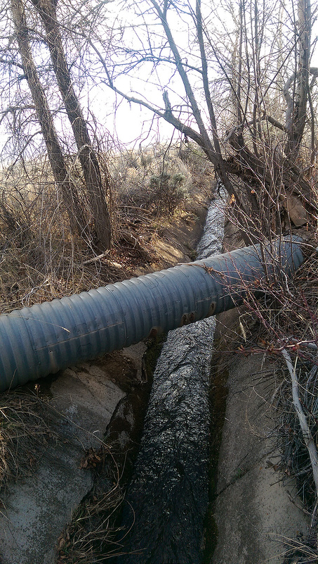 プエブロ・デ・タオスの画像17