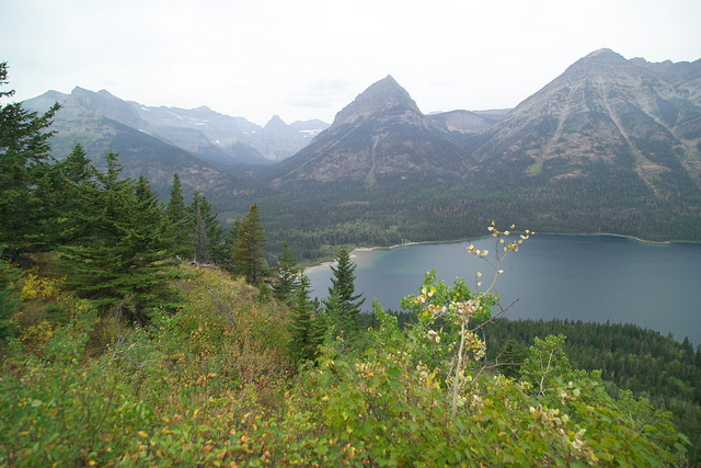 ウォータートン・グレーシャー国際平和自然公園の画像21