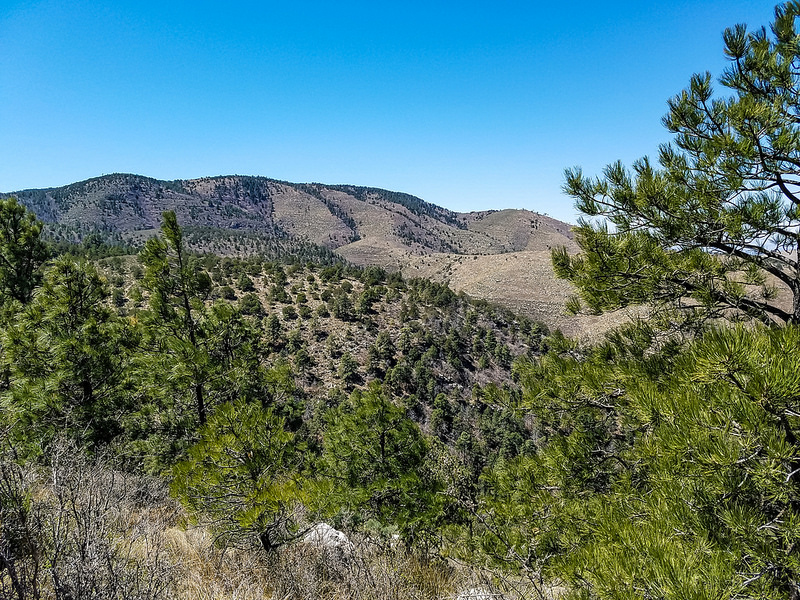 カールズバッド洞窟群国立公園の画像17