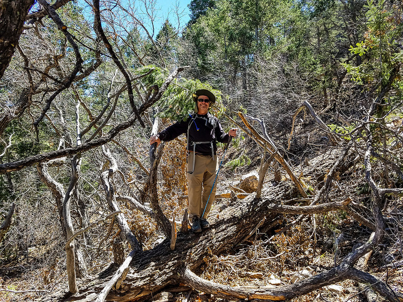 カールズバッド洞窟群国立公園の画像19