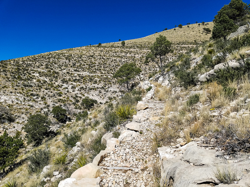 カールズバッド洞窟群国立公園の画像25