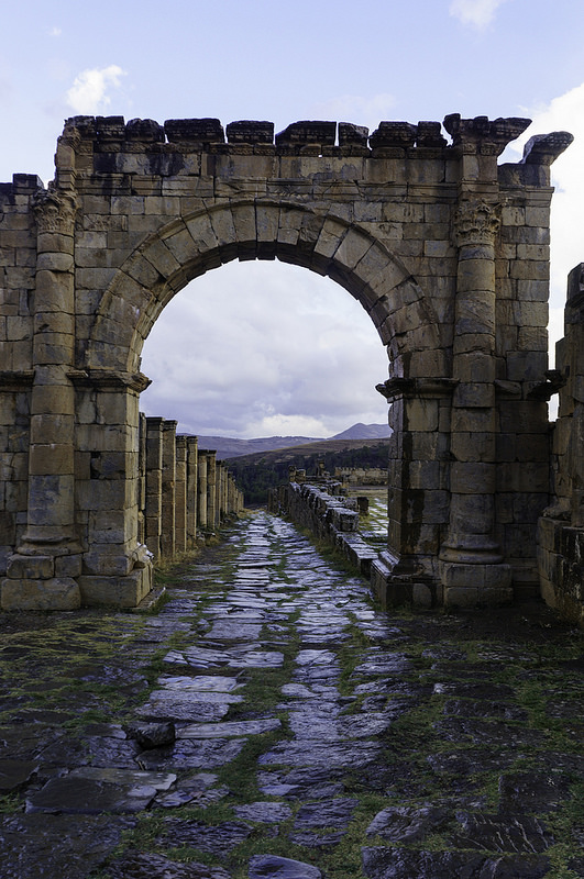 ジェミラの画像14