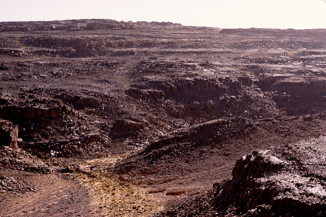 タッシリ・ナジェールの画像21