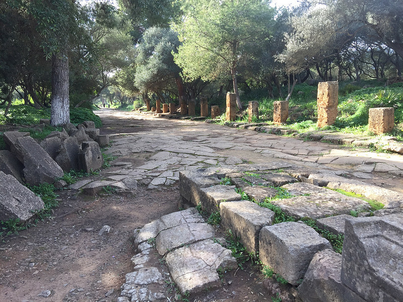 ティパサの考古遺跡の画像21