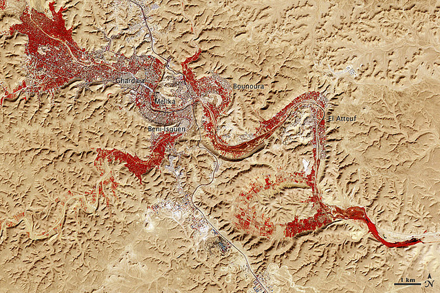 ムザブの谷の画像5