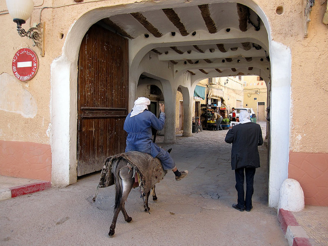 ムザブの谷の画像17