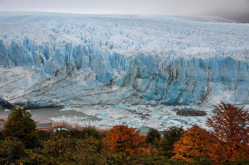 ロス・グラシアレスの画像22