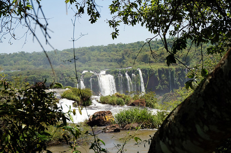 イグアス国立公園の画像19