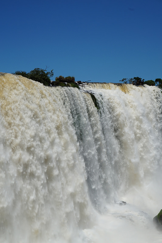 イグアス国立公園の画像29