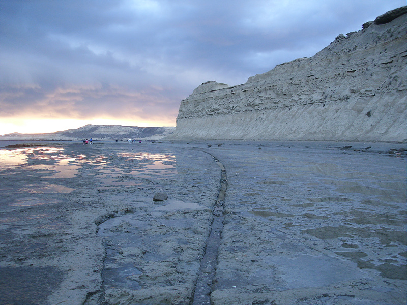 バルデス半島の画像5