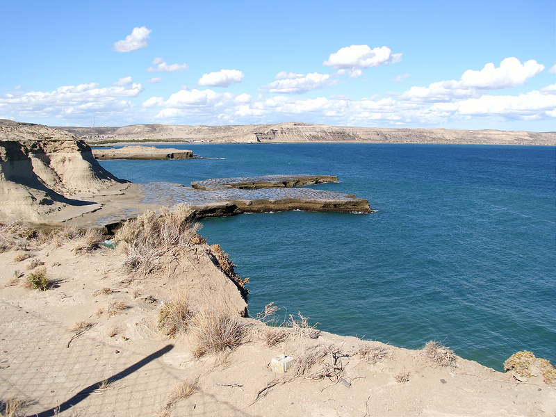 バルデス半島の画像10