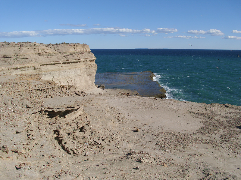 バルデス半島の画像11
