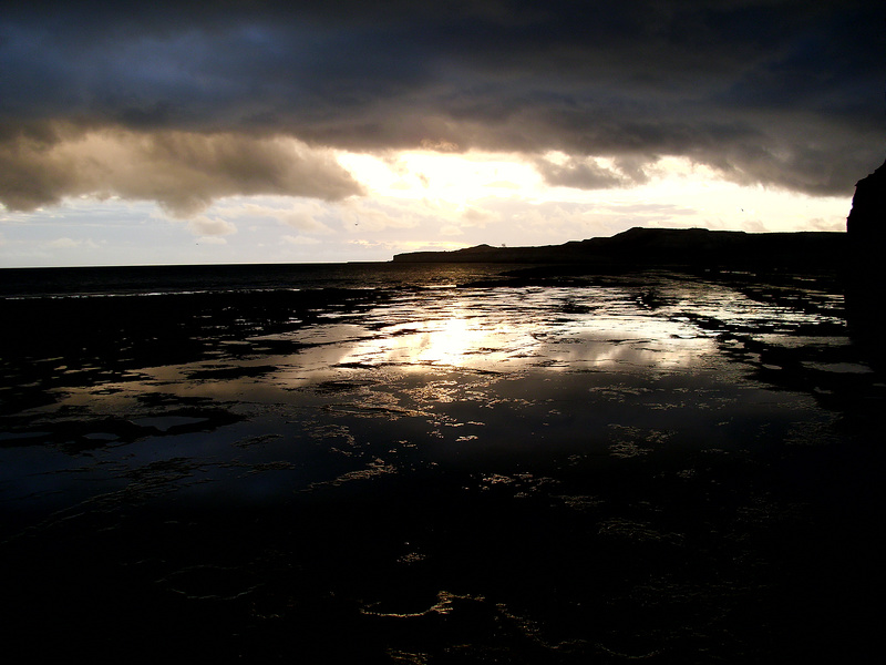 バルデス半島の画像16