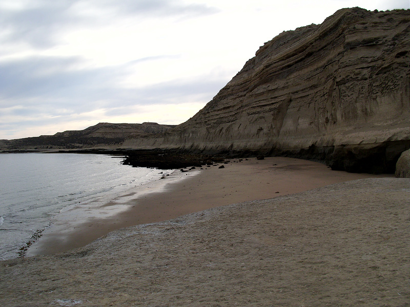 バルデス半島の画像18