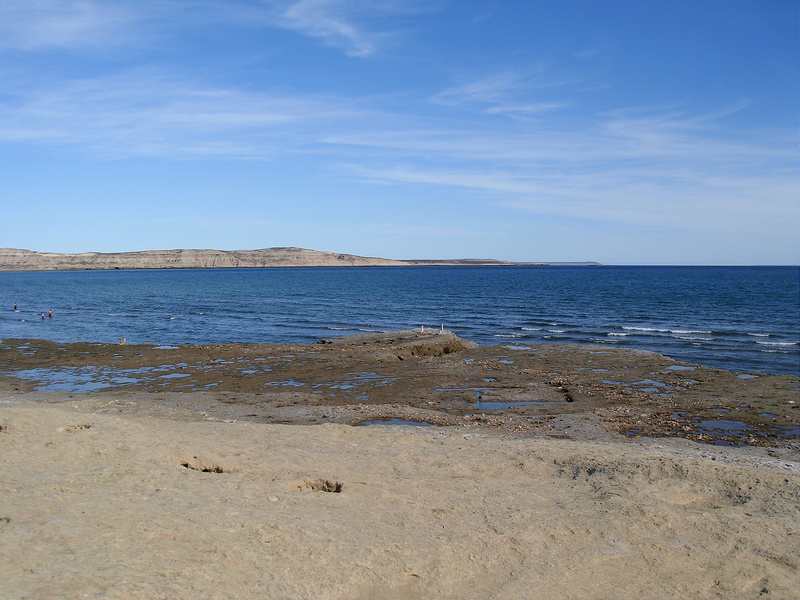 バルデス半島の画像19