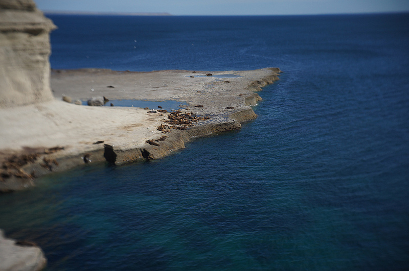 バルデス半島の画像24