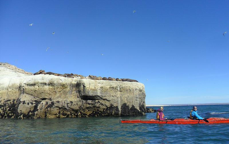 バルデス半島の画像27