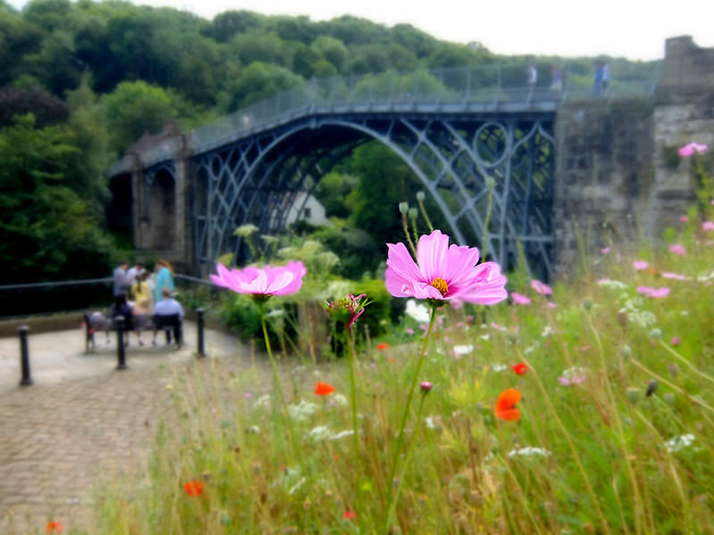 アイアンブリッジ峡谷の画像16