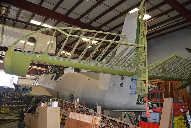 ヘンダーソン島の画像3