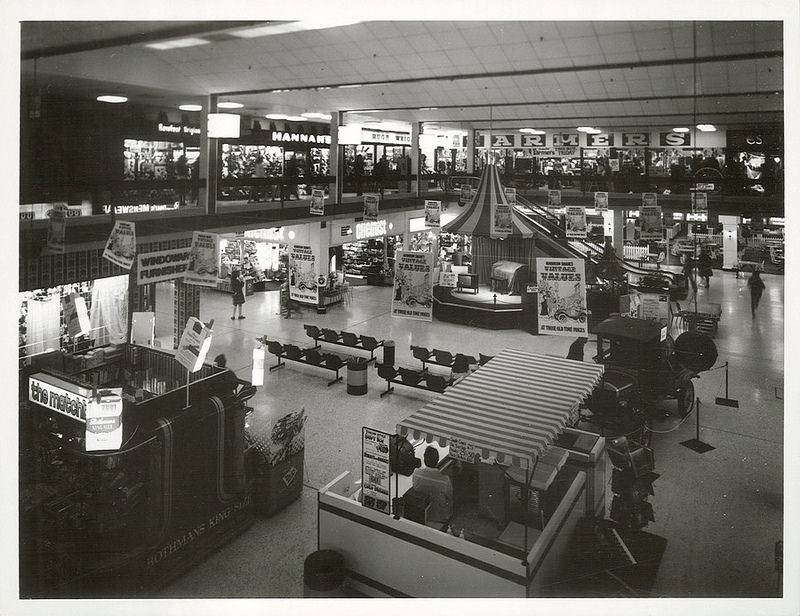 ヘンダーソン島の画像5