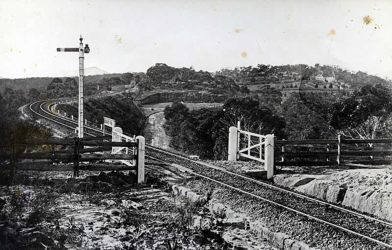 ヘンダーソン島の画像7