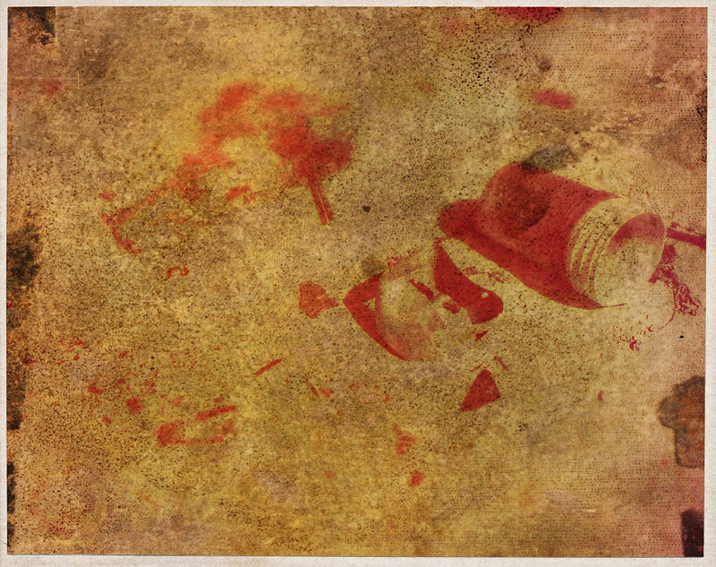 ヘンダーソン島の画像11