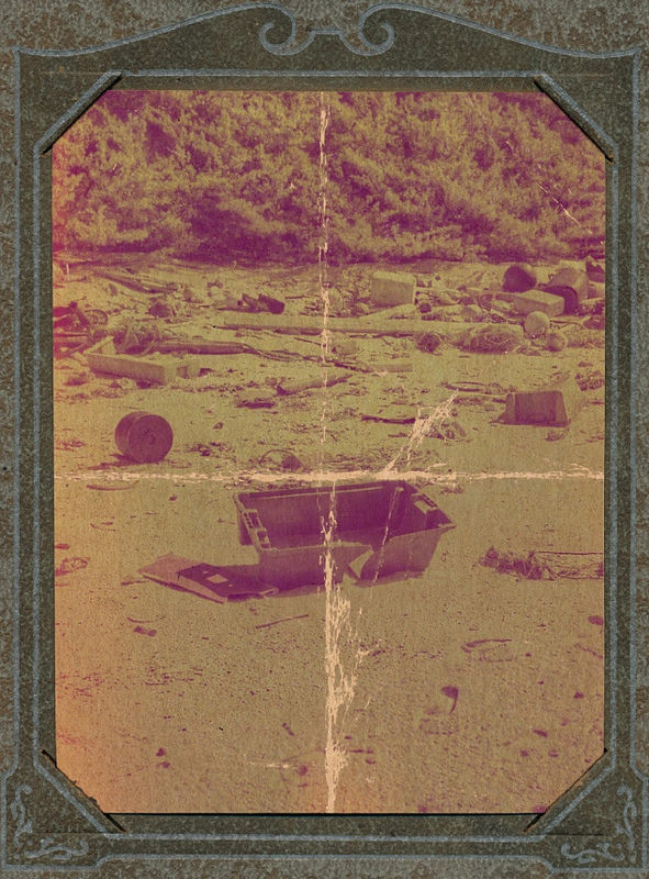 ヘンダーソン島の画像12