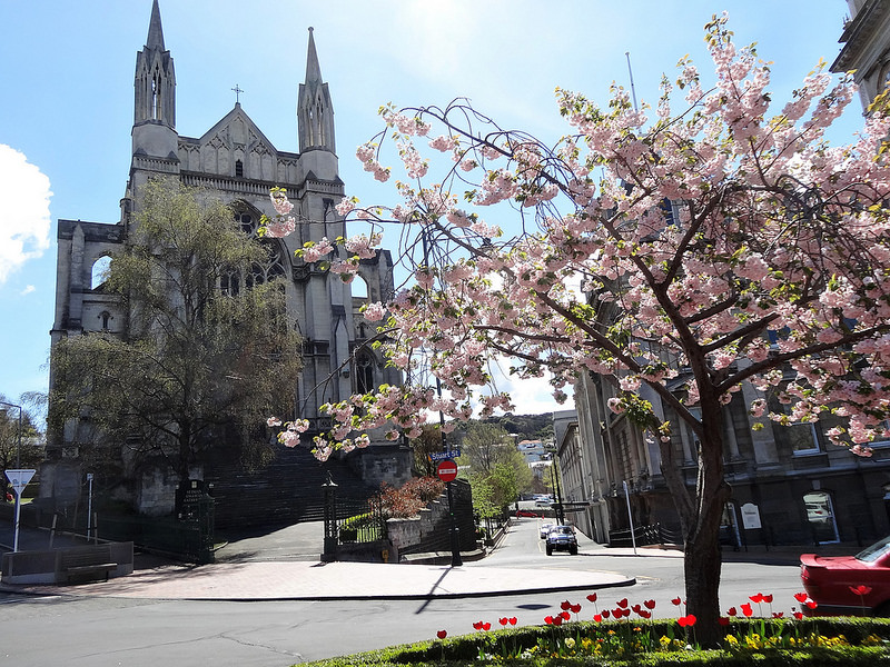 エディンバラの旧市街と新市街の画像13