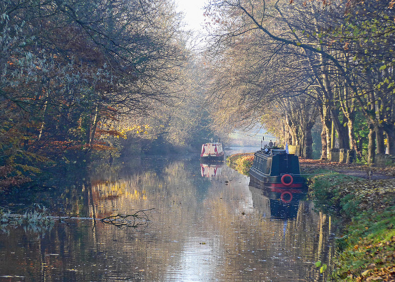 ソルテアの画像14