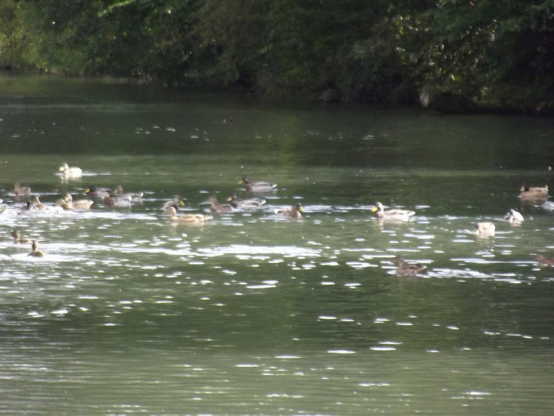 ダーウェント峡谷の工場群の画像14