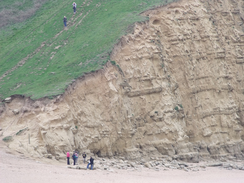 ドーセット及び東デヴォン海岸の画像12