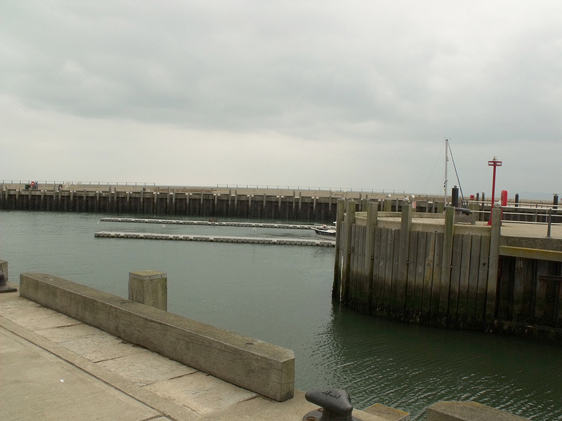 ドーセット及び東デヴォン海岸の画像19