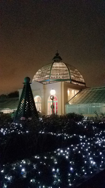 アッコ旧市街の画像12