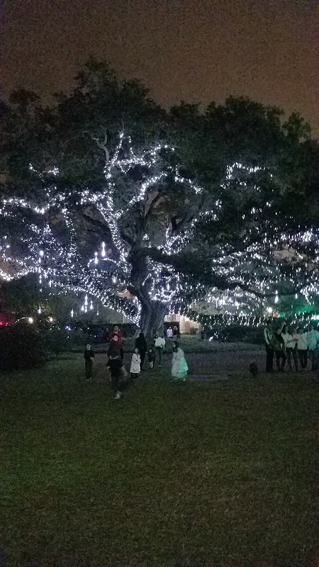 アッコ旧市街の画像14