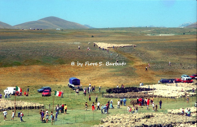 カステル・デル・モンテの画像19