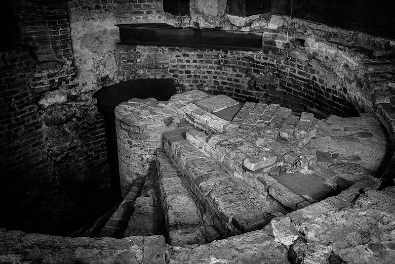 トリノのサヴォイア家の王宮と邸宅の画像29